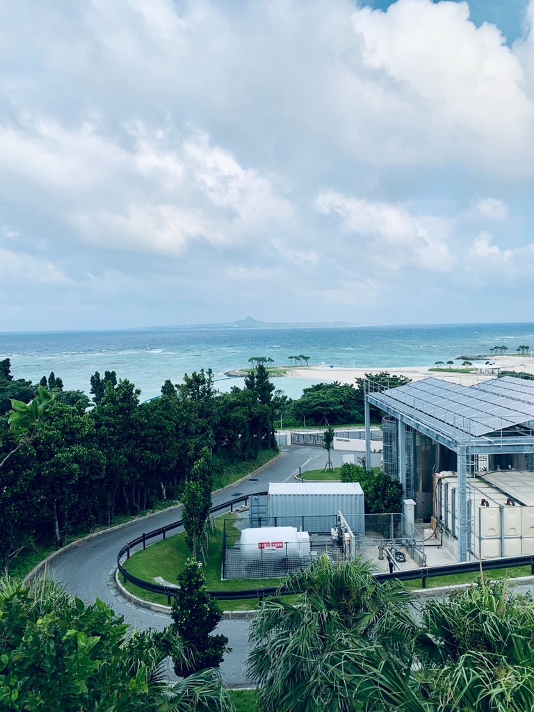 Ocean Expo Park road leading to the beach