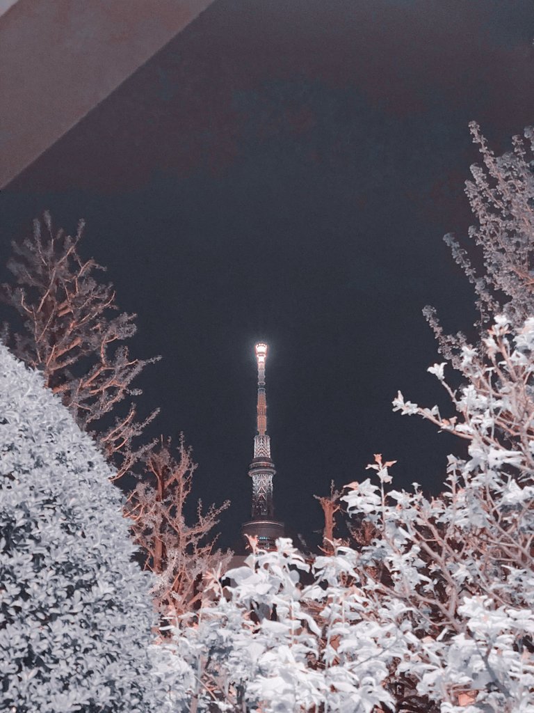 Had to zoom the Tokyo Skytree from temple grounds