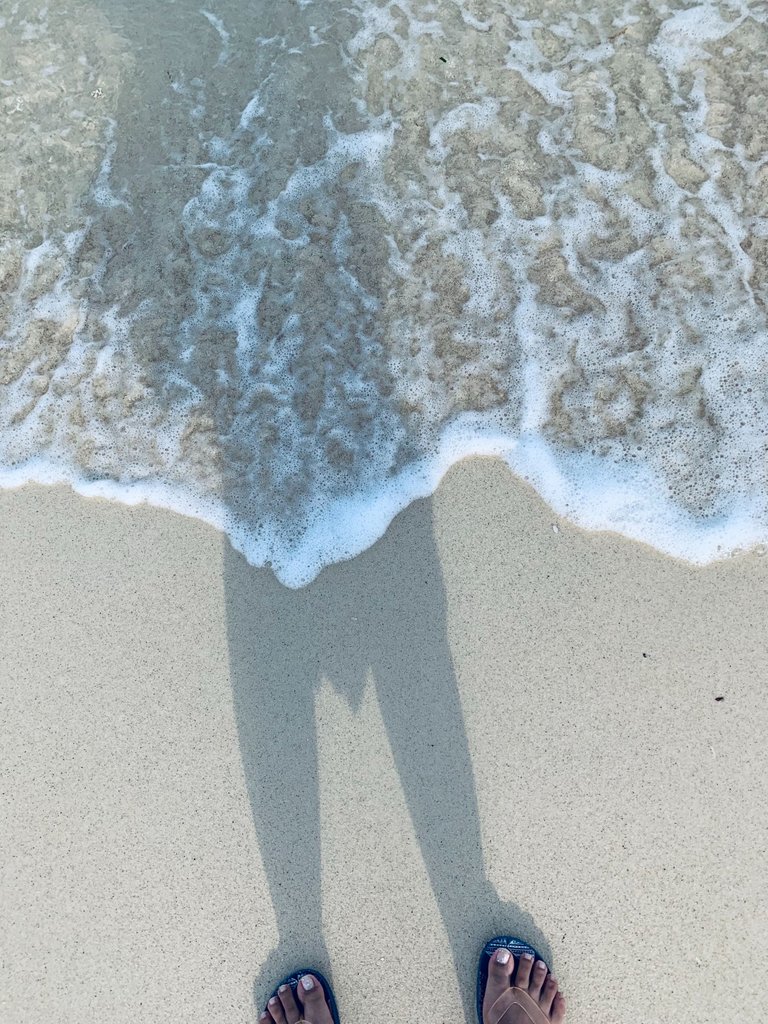 IMG_6361.jpeg