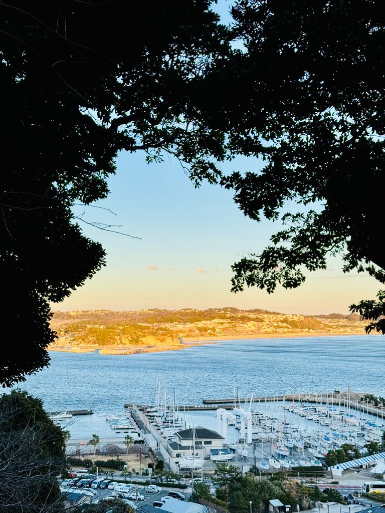 View from one of the shrines going up the island