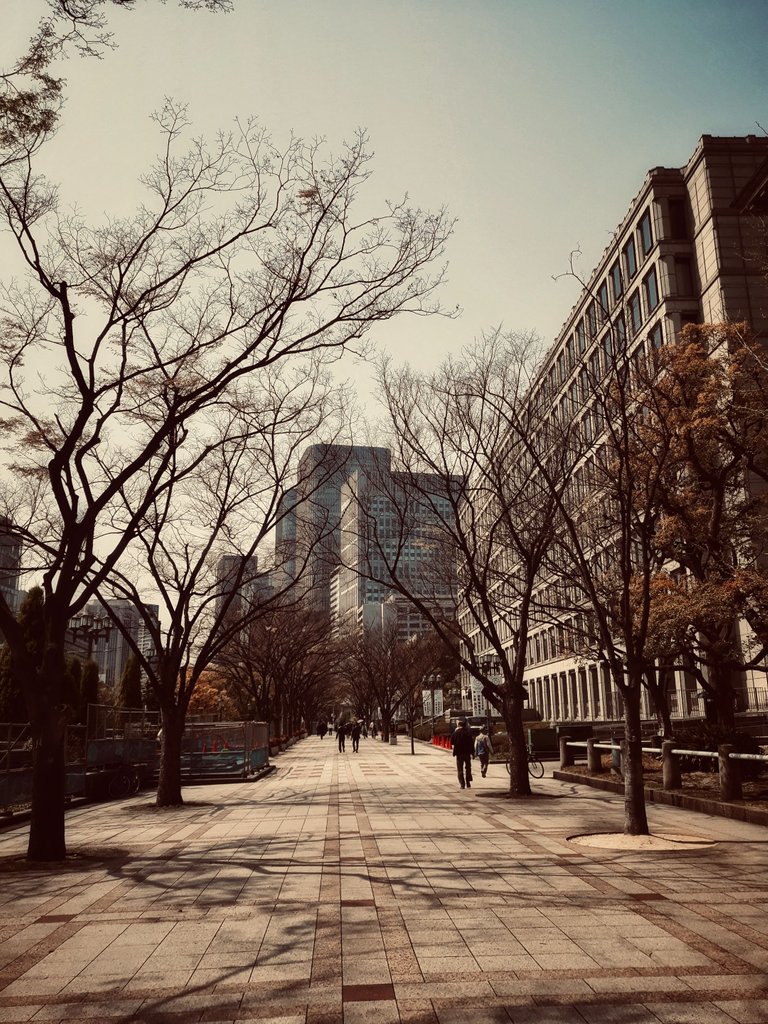 The streets of Osaka