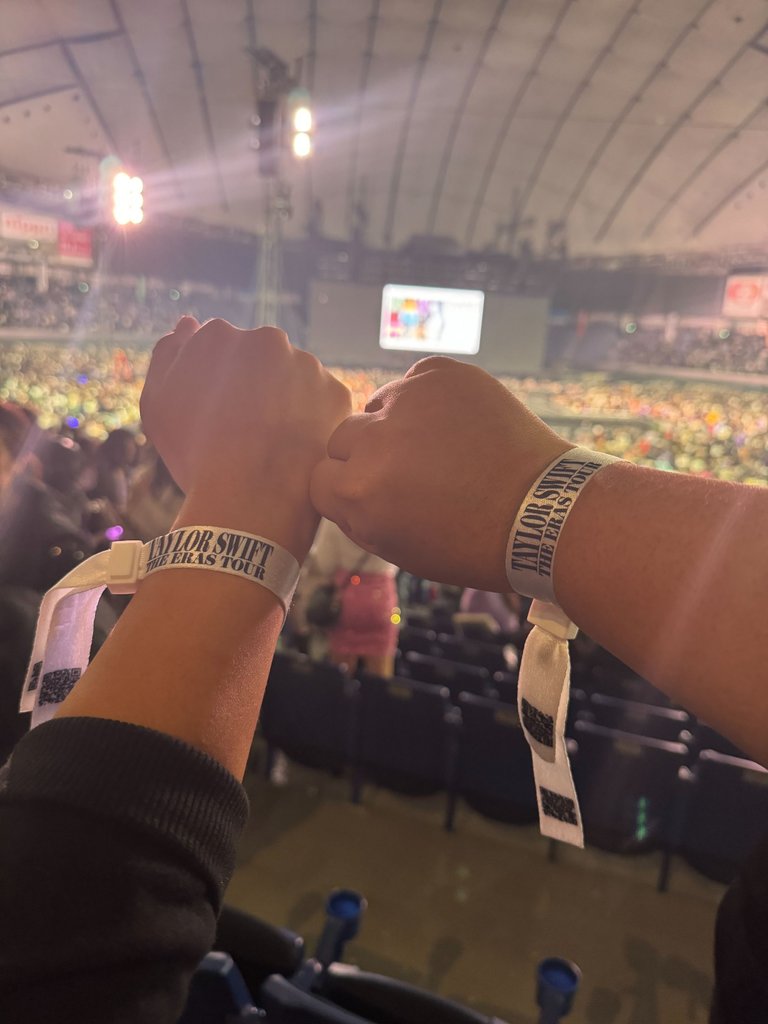 Our bracelets - now a memory because we recycled it after the concert