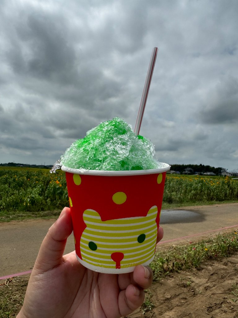 melon kakigori