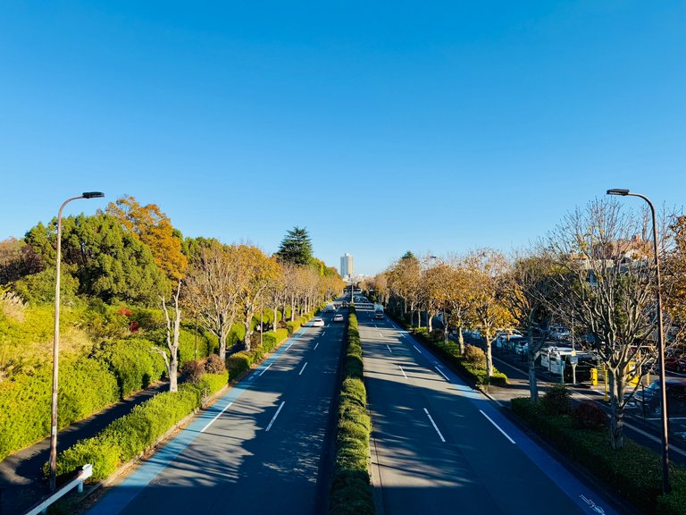 walking on the footbridge connecting the train station to the park's entrance gate