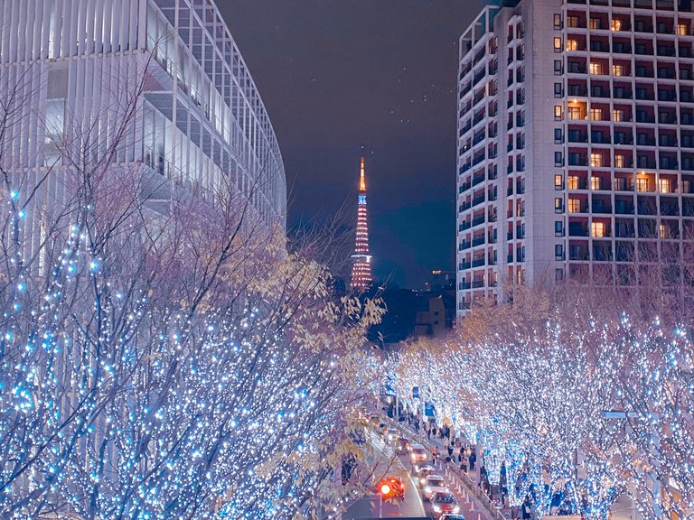 Winter Illumination In Roppongi Hills