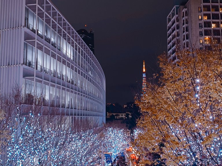 Tokyo Tower hiding in the tree