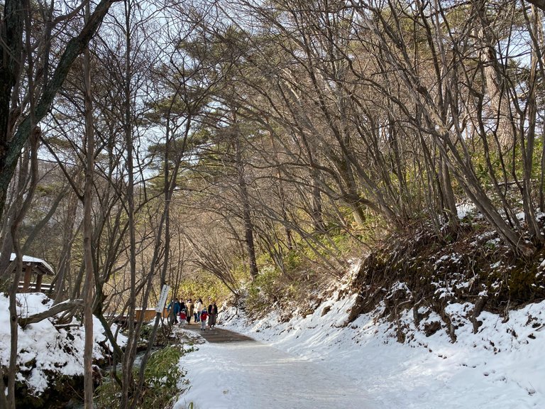 Way to the bathhouse