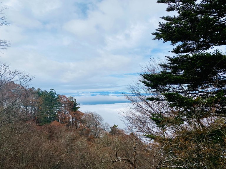 Sea of clouds welcomed us!