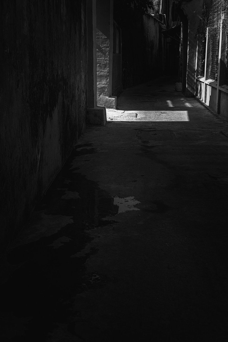 DSC05605-1.jpg