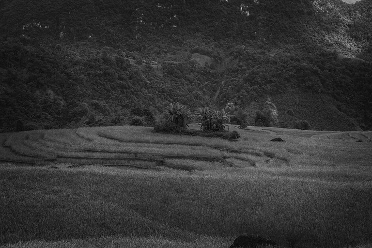 DSC04264-1-bnw.jpg