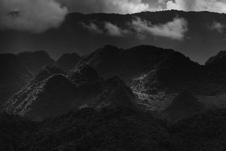 DSC04266-1-bnw.jpg