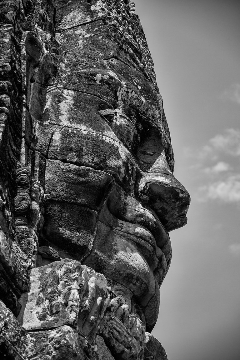 DSC_0386-1.jpg