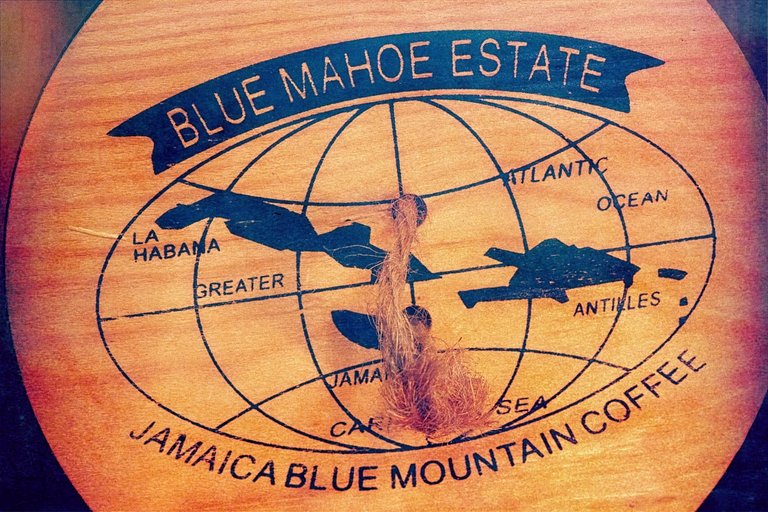 Jamaican-Blue-Mountain-coffee (1).jpg