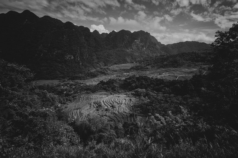 DSC04259-1-bnw.jpg