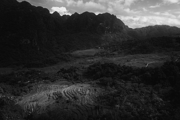 DSC04258-1-bnw.jpg