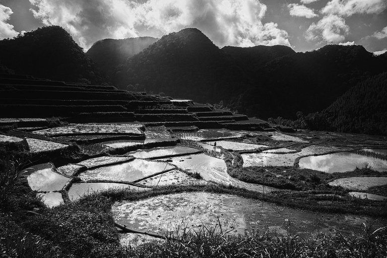 DSC04279-1-bnw.jpg