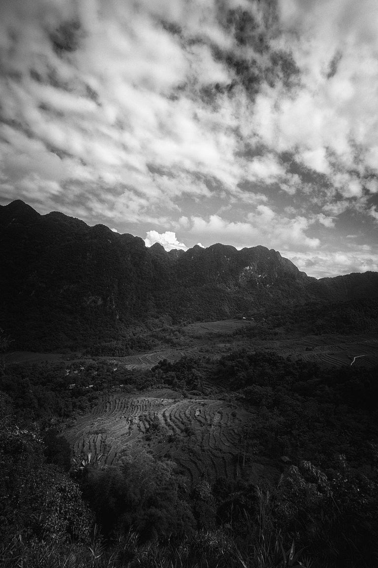 DSC04260-1-bnw.jpg