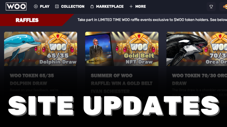 WOO SITE UPDATES.png