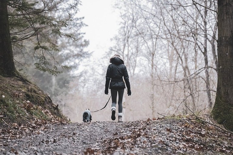 Le Caniche Passionné