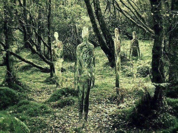 glass statues3.jpg