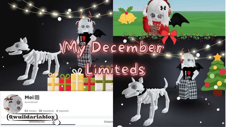 December Limited.png