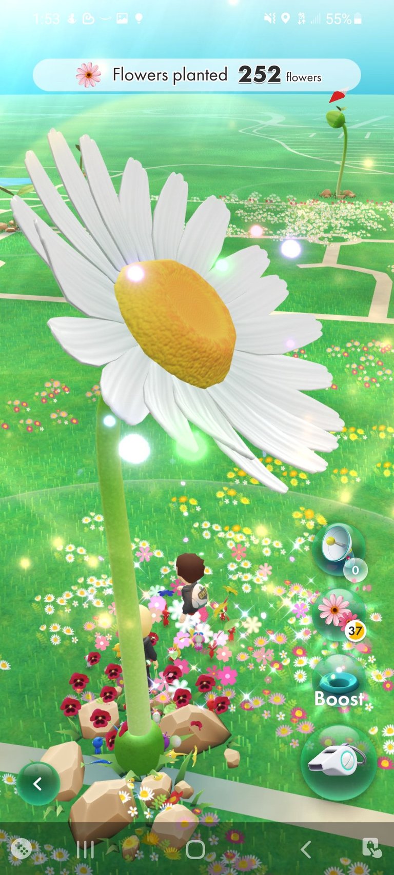 Screenshot_20211106-135333_Pikmin Bloom.jpg