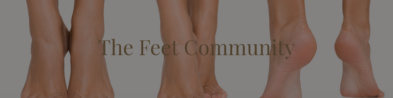 Feet Banner.png