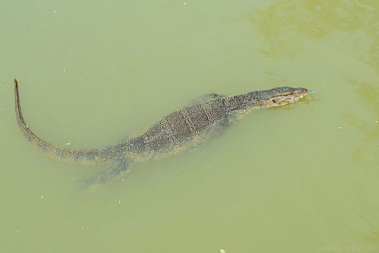 DSC_7725.JPG
