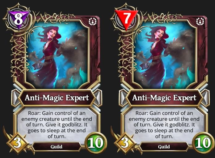 Anti-Magic Expert