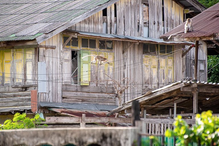 DSC_3748.JPG