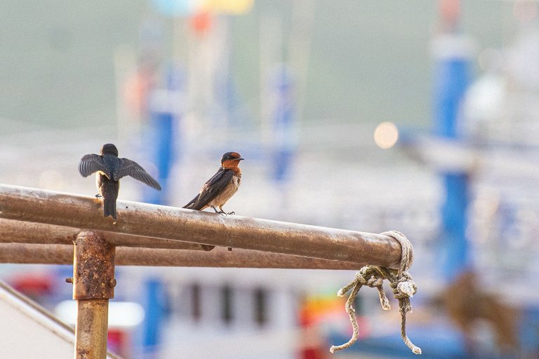 DSC_3535.JPG