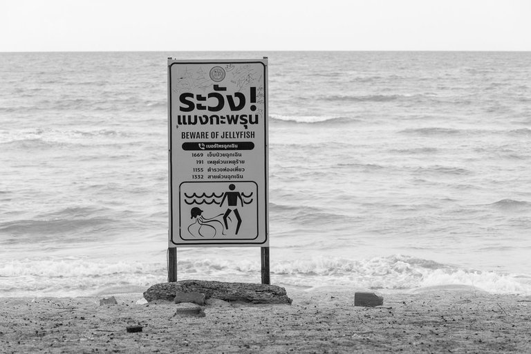 DSC_3896.JPG