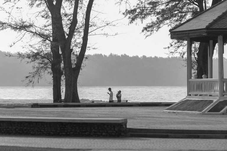 DSC_2604.JPG