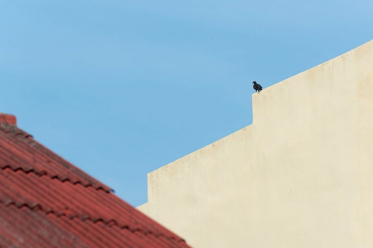 DSC_3846.JPG