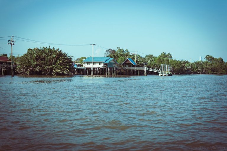 DSC_7857.JPG