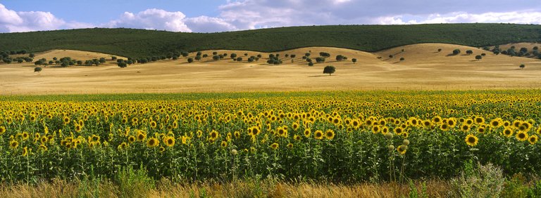 Agricultura 01.jpg