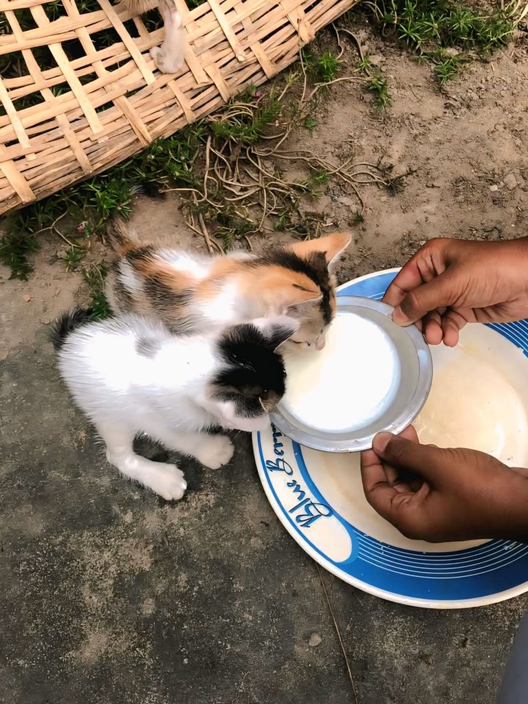 1000101157.jpg
