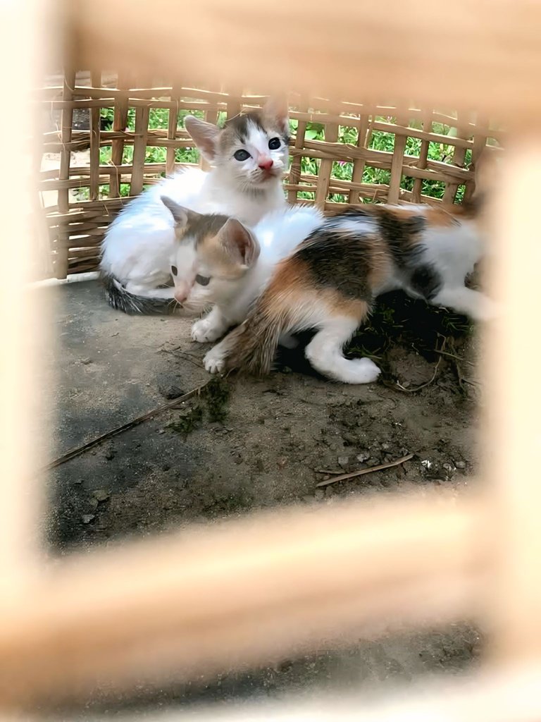 1000101159.jpg