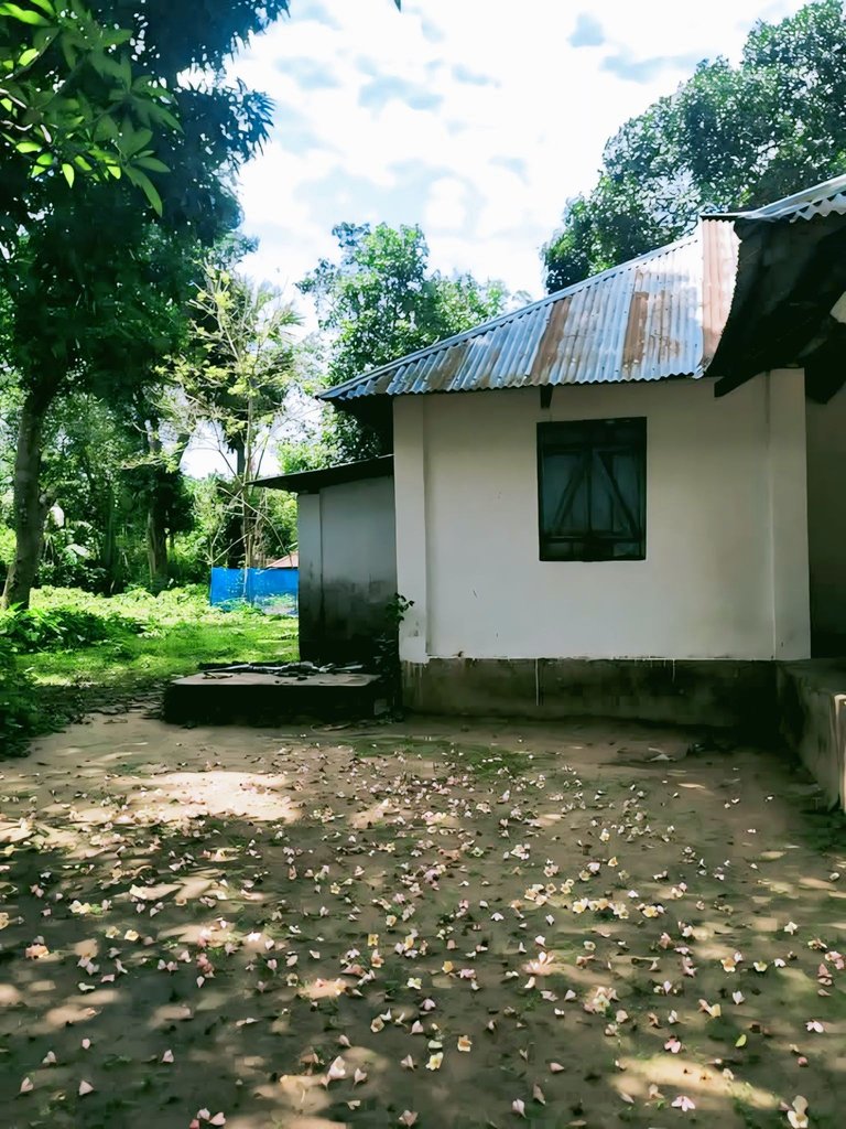 1000102664.jpg