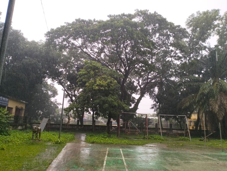 IMG20250731153028.jpg