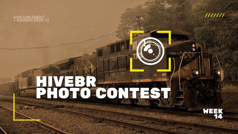 📸 HiveBR Photo Contest #14 - Sepia | Sépia [EN/PT] 