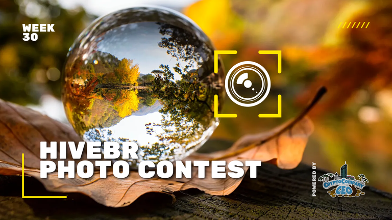 📸 HiveBR Photo Contest #30 - Reflection | Reflexo [EN/PT]