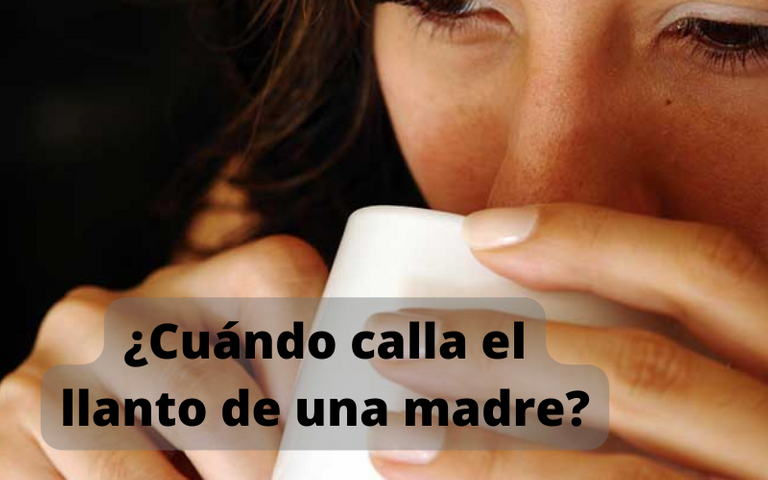 ¿Cuándo calla el llanto de una madre.png