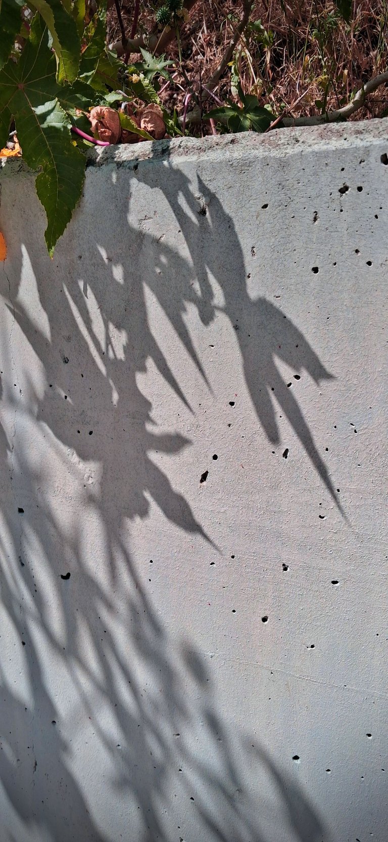 20250530_162726.jpg