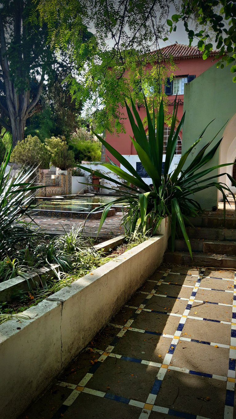 20230528_165232.jpg