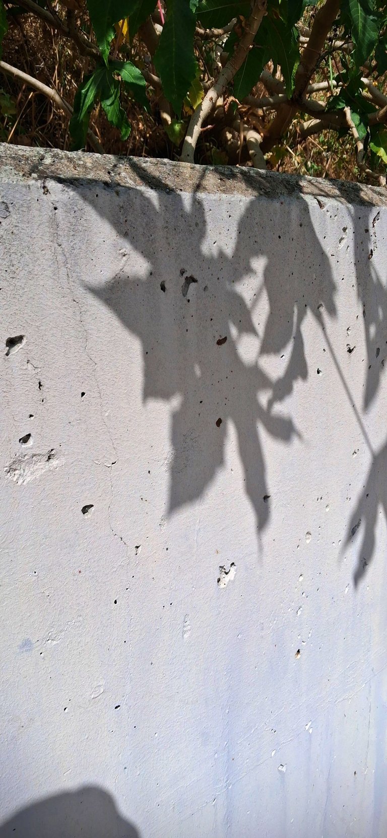 20250530_162652.jpg