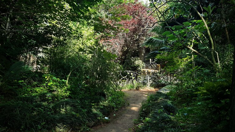 20230528_162818.jpg