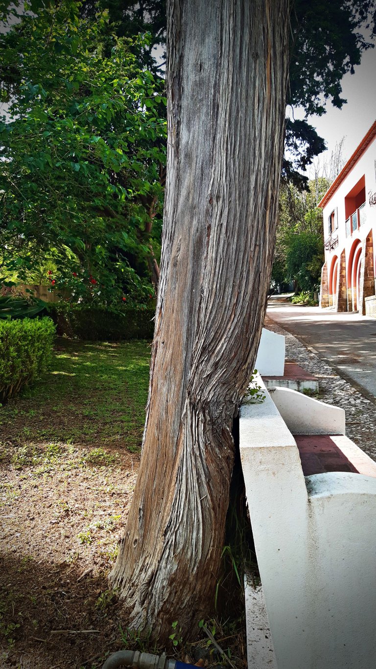 20230528_165141.jpg