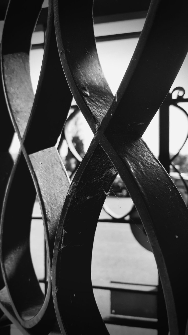 20230528_174259.jpg