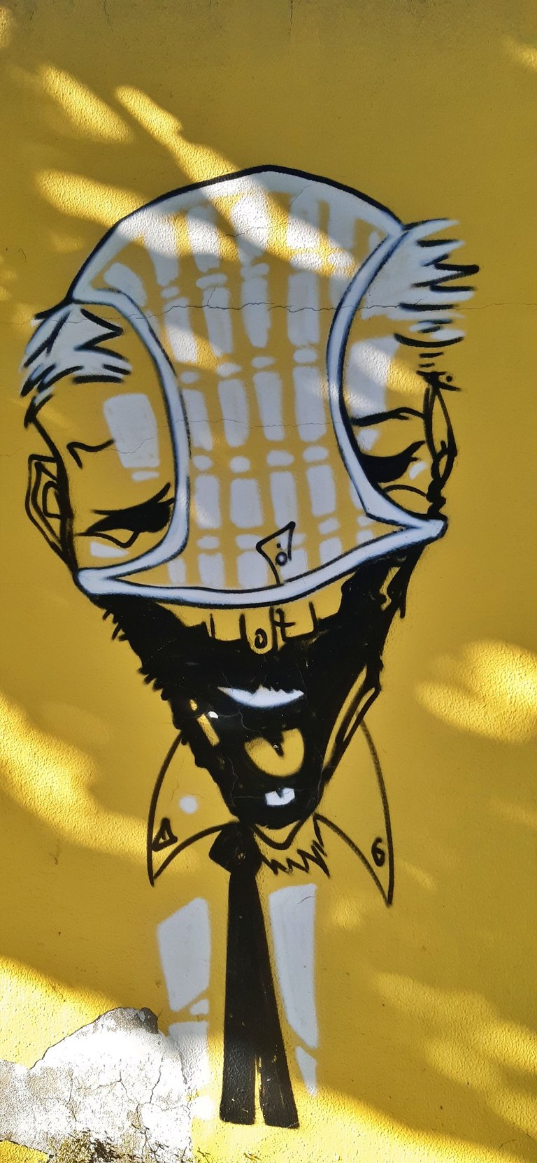 20250427_183031.jpg